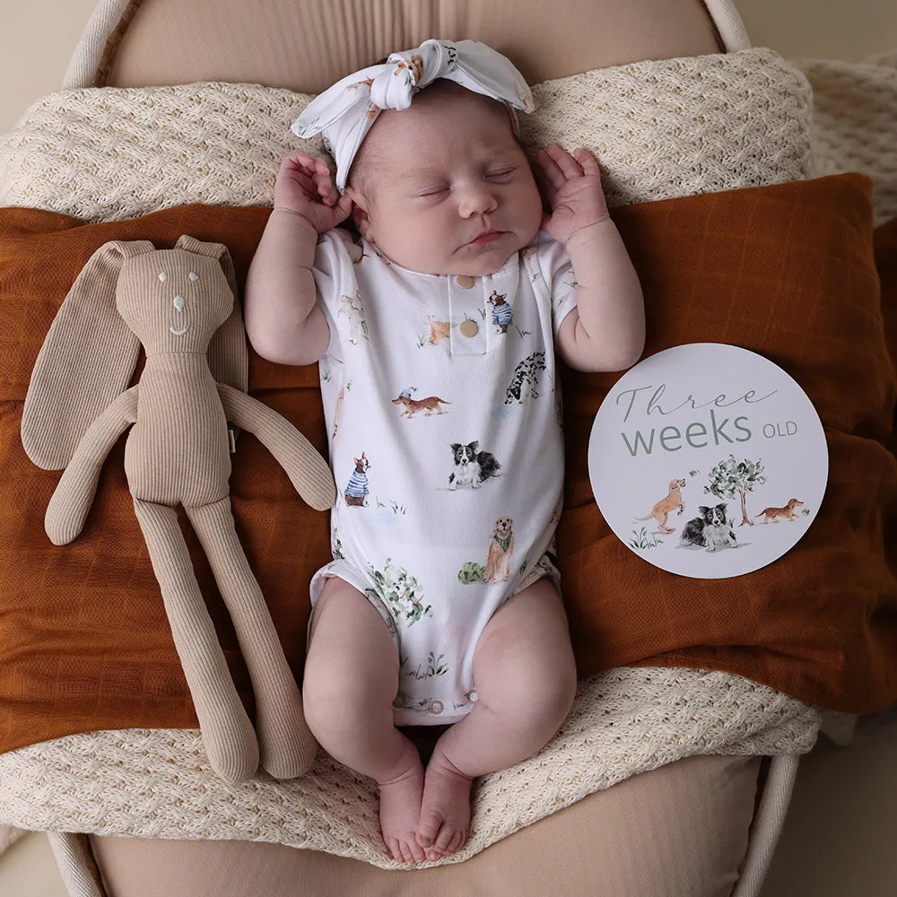 Reversible Milestone Cards | Dog Park   Seedling