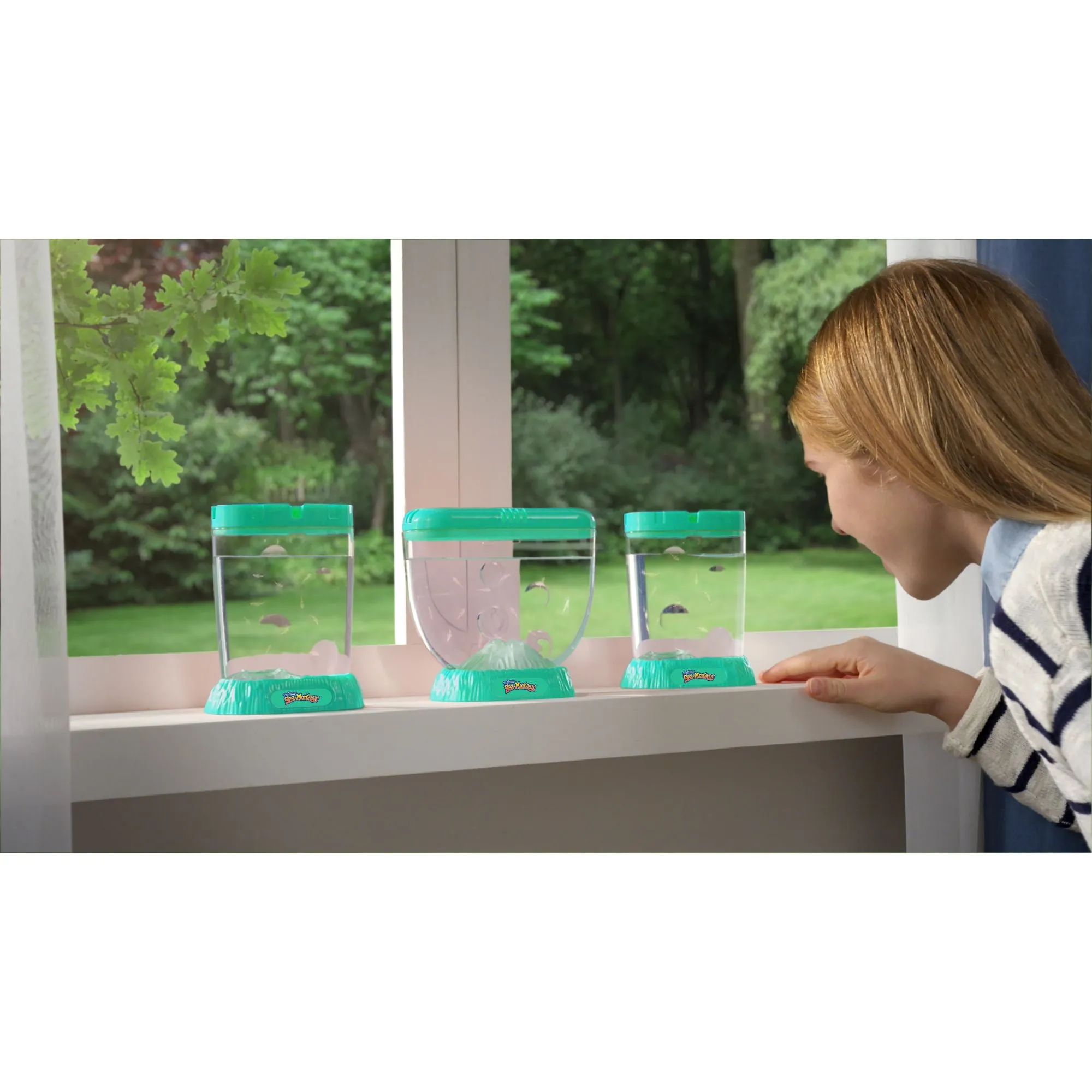 Sea-Monkeys Ocean Zoo Assorted Styles