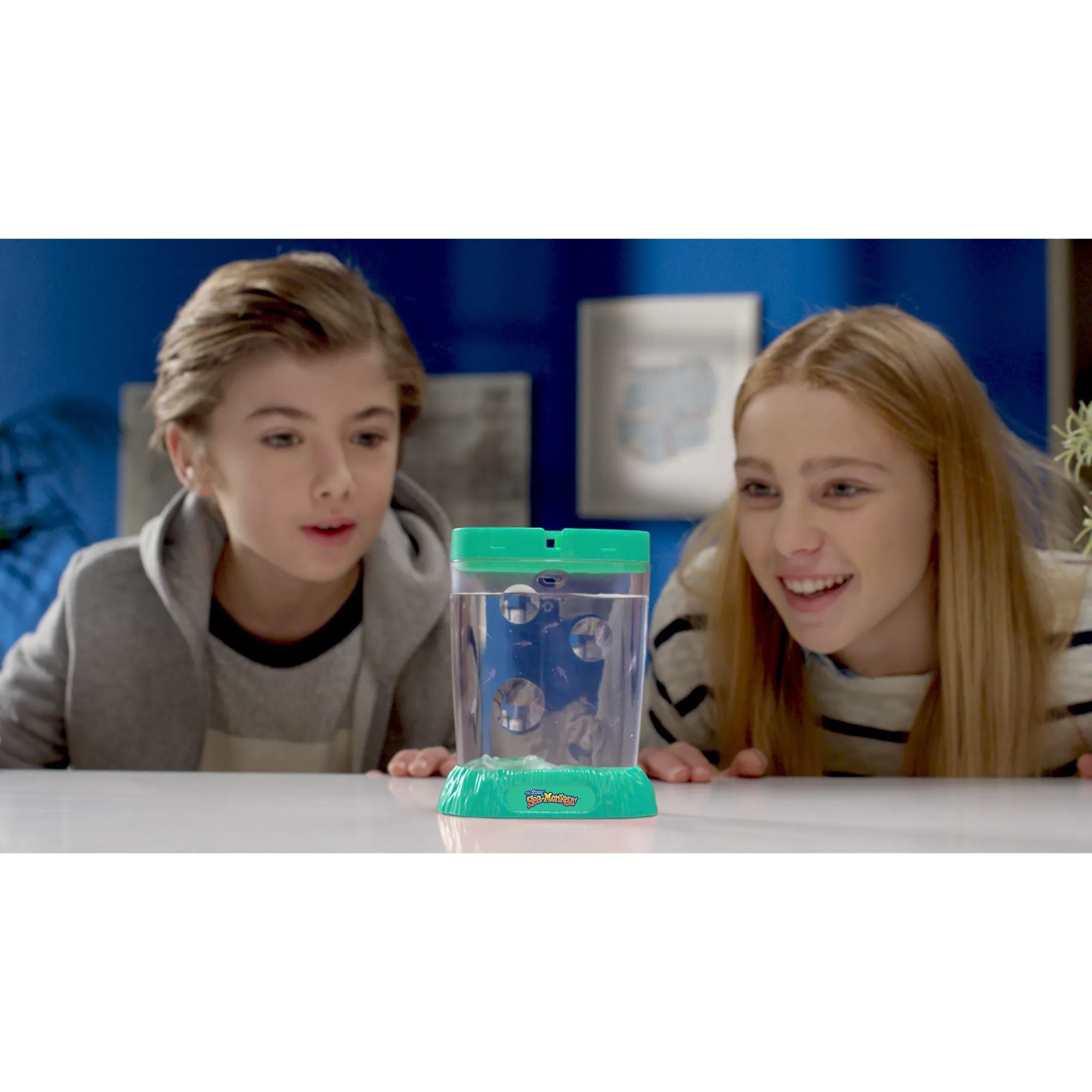 Sea-Monkeys Ocean Zoo Assorted Styles
