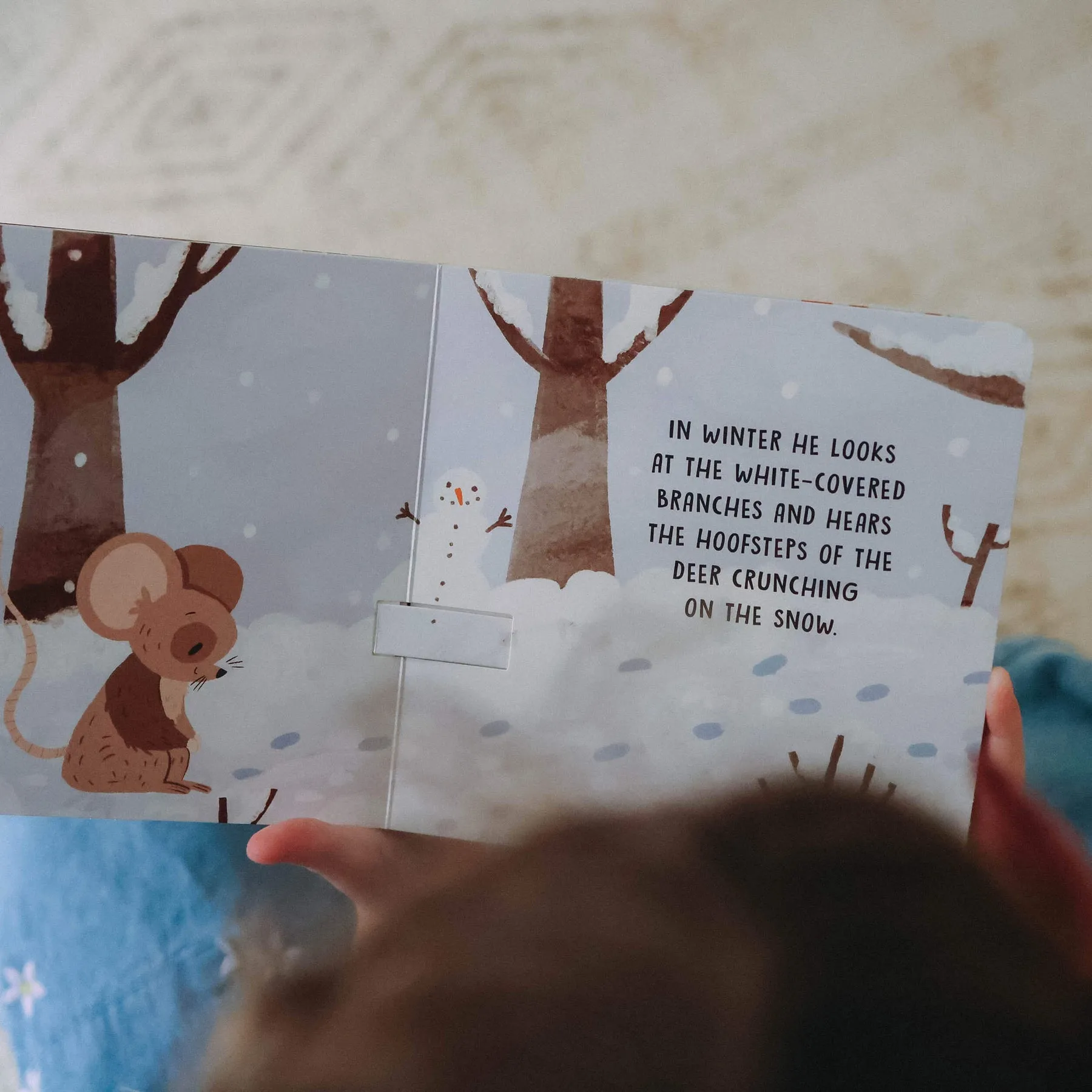 Sweet Sounds Book - The Four Seasons