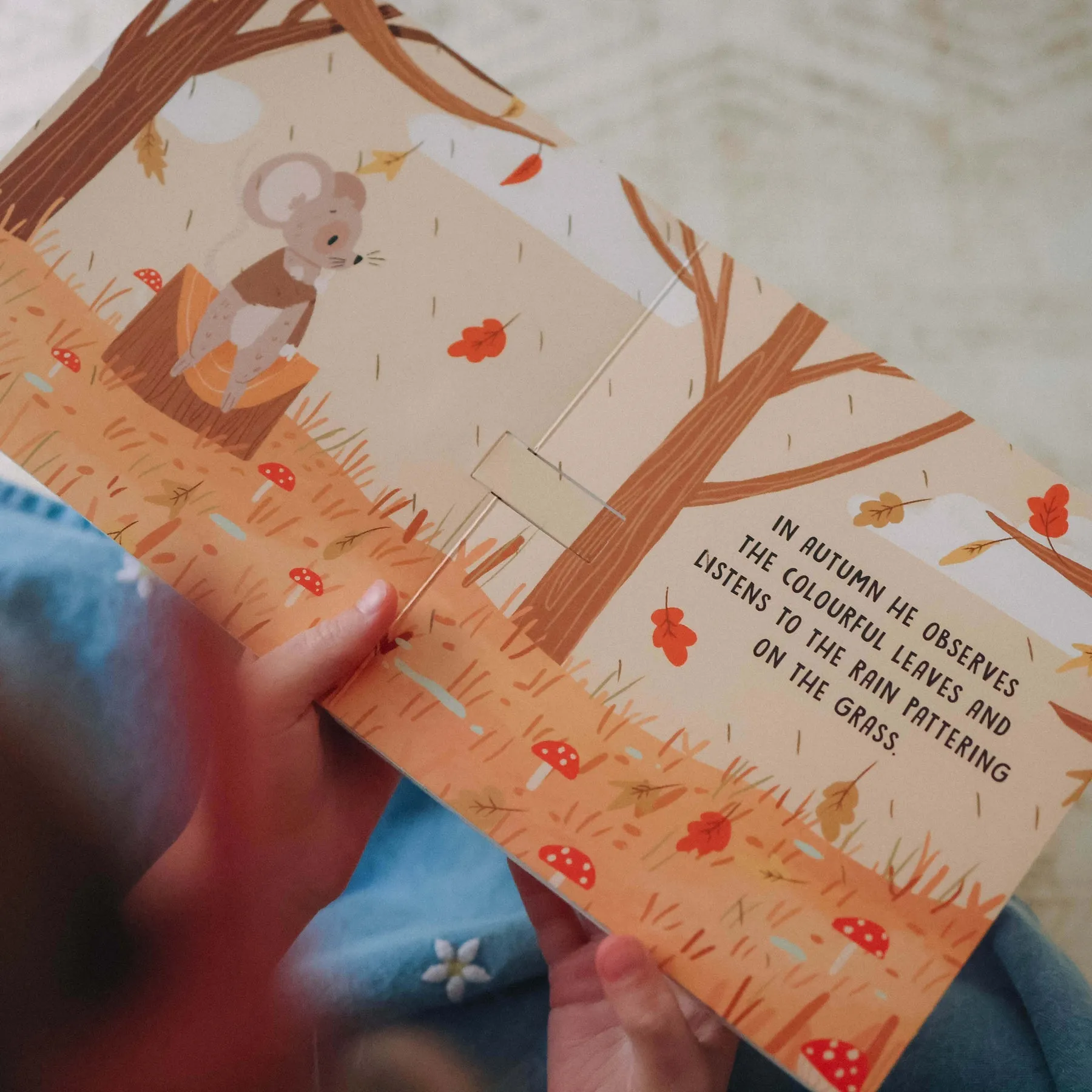 Sweet Sounds Book - The Four Seasons