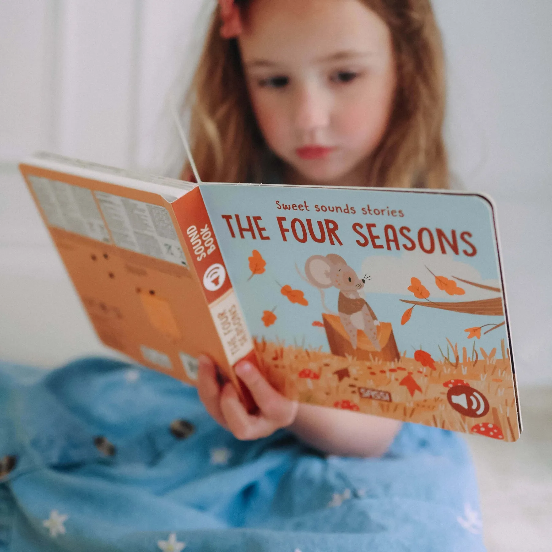 Sweet Sounds Book - The Four Seasons