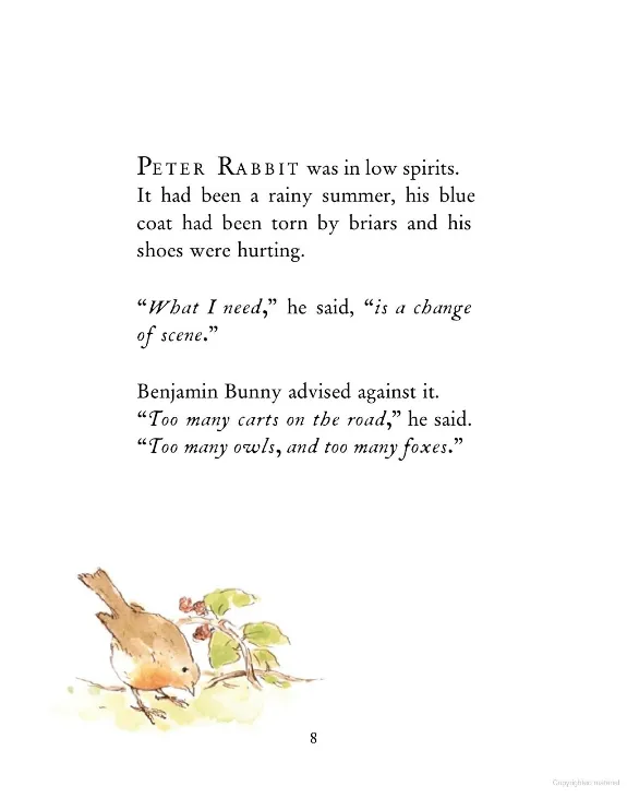 The Further Tale Of Peter Rabbit Board Book