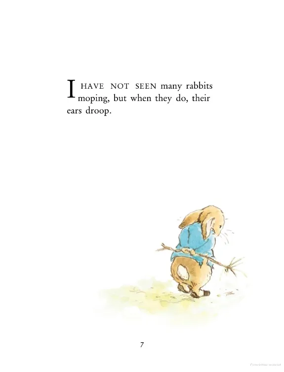 The Further Tale Of Peter Rabbit Board Book