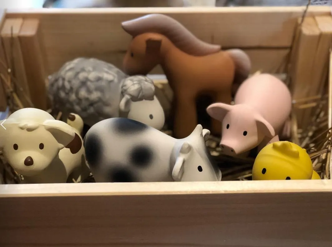 Tikiri Teether & Bath Toy | PUPPY Gift Boxed
