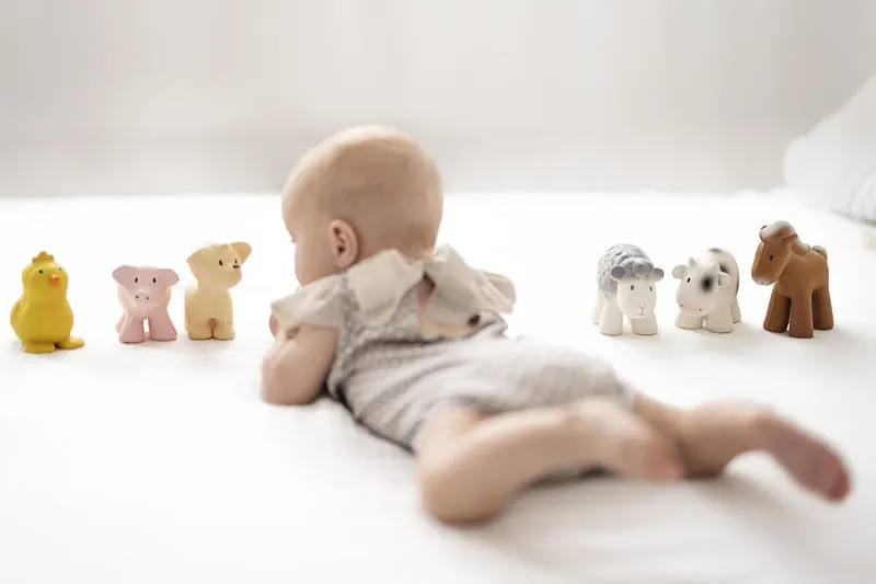 Tikiri Teether & Bath Toy | PUPPY Gift Boxed