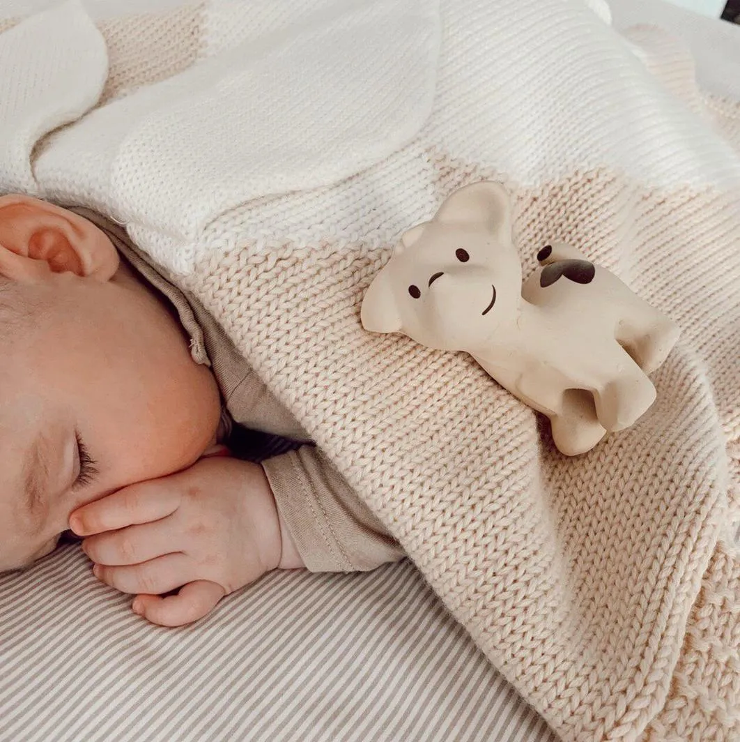 Tikiri Teether & Bath Toy | PUPPY Gift Boxed