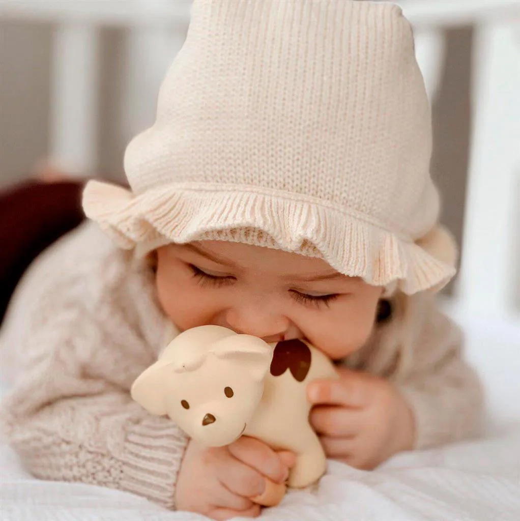 Tikiri Teether & Bath Toy | PUPPY Gift Boxed