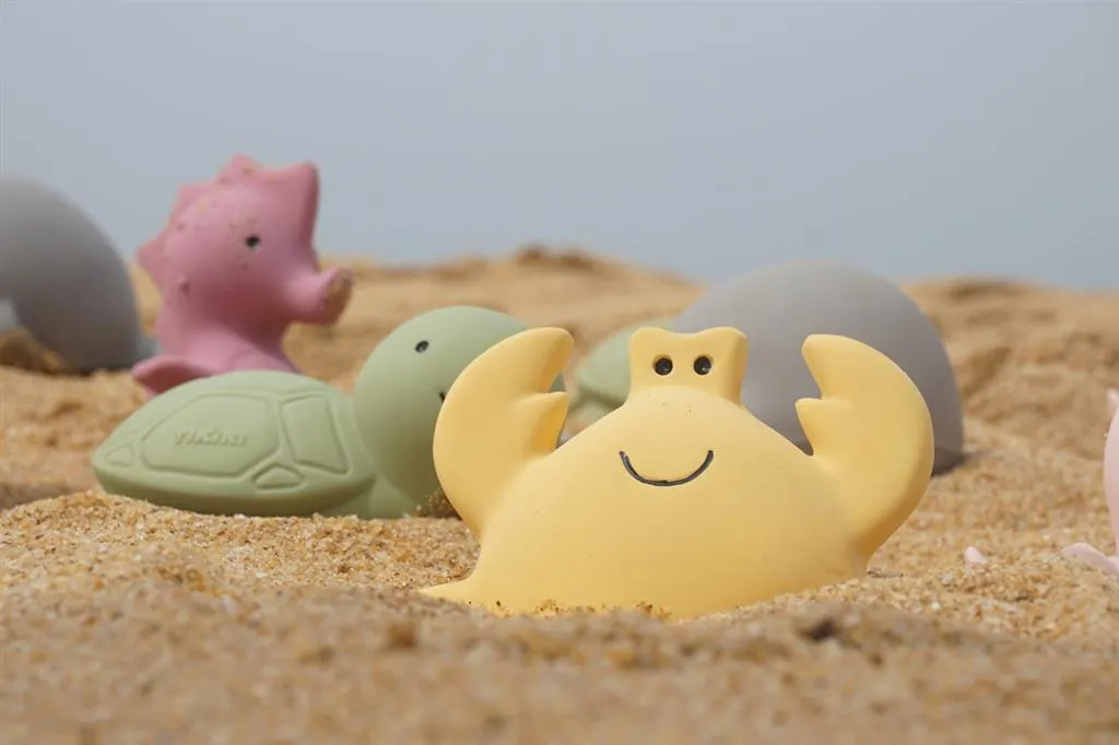 Tikiri Teether & Bath Toy | TURTLE Gift Boxed