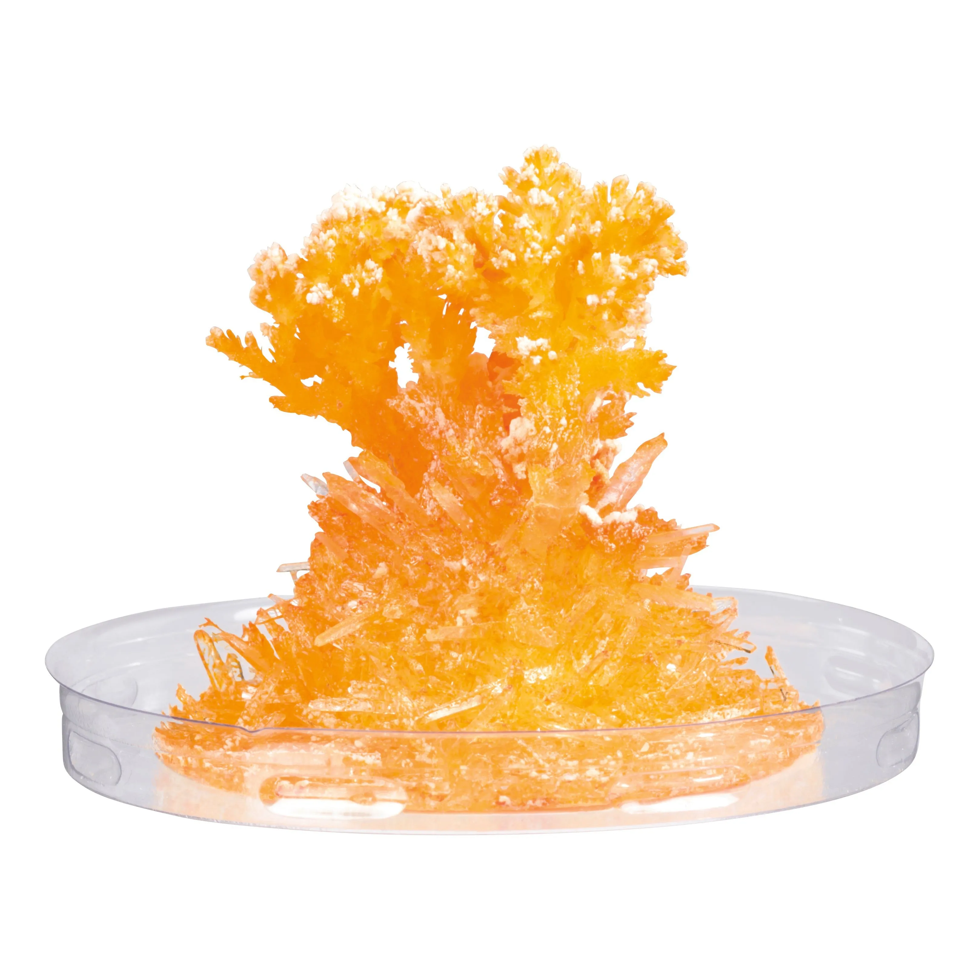 Toy Science Growing Crystals