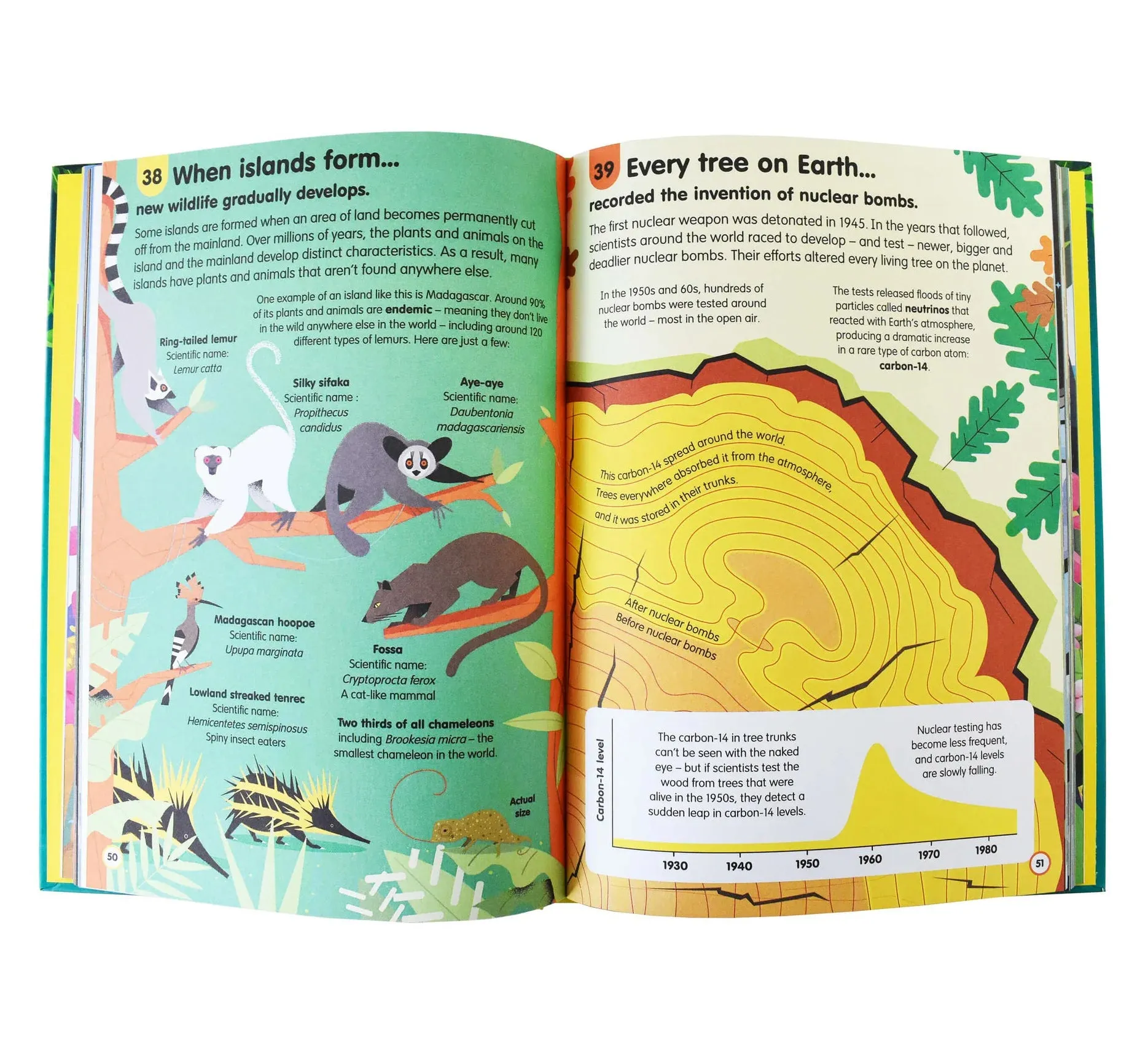 Usborne 100 Things to Know Book Assortment  - Ages 8-12