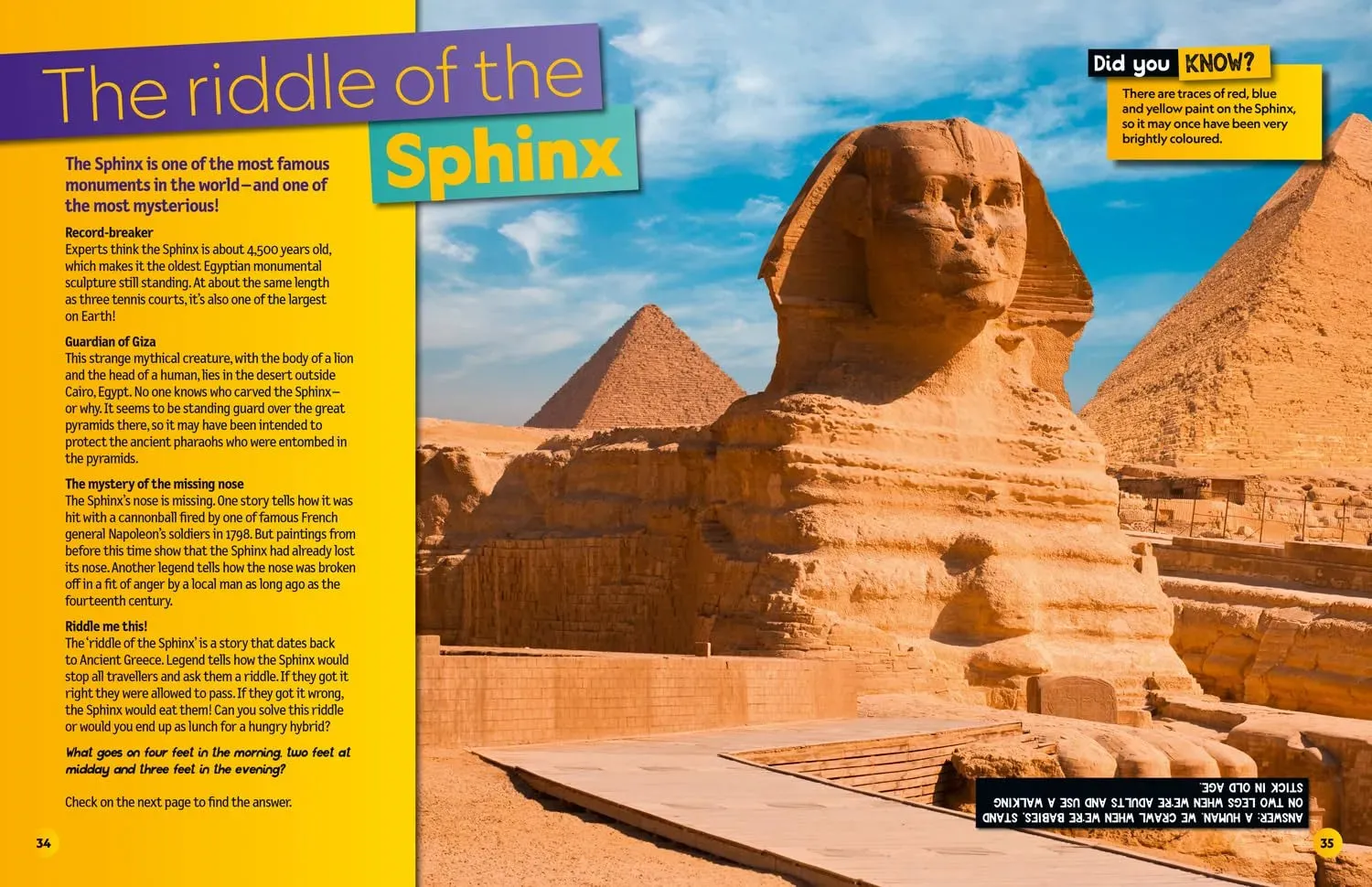 Weird but true! 2025: Wild and Wacky Facts & Photos! by National Geographic Kids