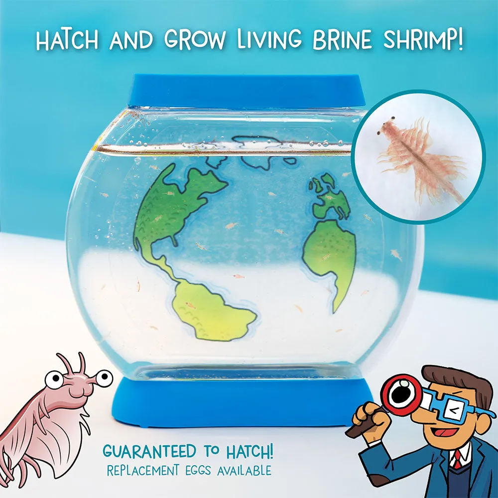 Wow in the World: Sea Creatures Aquarium